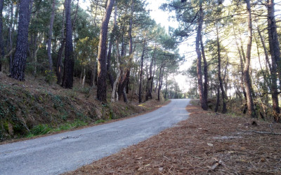 La carretera de tus sueños ciclistas